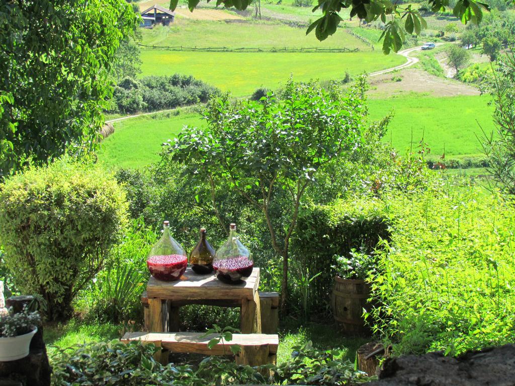 Summerhouse Beram Pazin Extérieur photo